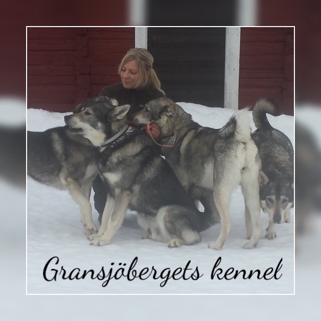 Gransjöbergets Kennel