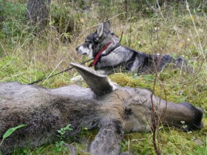 8145845-nWt5a